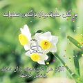 عکس صلوات ❤ذکر روز جمعه