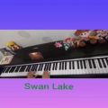 عکس آهنگ Swan Lake