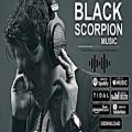 عکس BLACK SCORPION MUSIC