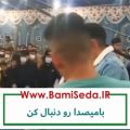 عکس دانلود آهنگ این گریه ی مرده _ امیر طورانی