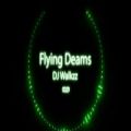 عکس دانلود آهنگ پرواز رویاهاAlanWalker-Flying Dreams