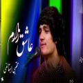 عکس آهنگ دلنشین افغانی مجتبی استالفی - عاشق زارم