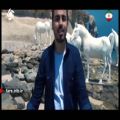 عکس ترانه عزم سلیمانی با صدای آقای صادق آتشی - شیراز