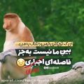 عکس آهنگ عاشقانه -کلیپ عاشقانه غمگین - کلیپ جدید -آهنگ جدید