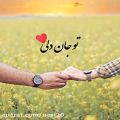 عکس تو جان دلی . کلیپ عاشقانه برای استوری . آهنگ عاشقانه