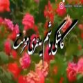 عکس کاشکی باشم یه عمری محرمت | آهنگ زیبا و شاد || کلیپ شاد و زیبا