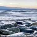 عکس استوری دریا((زیبا))