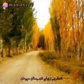 عکس سپیدان استان فارس