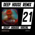 عکس آهنگ دیپ هاوس وکال | Deep House Vocal Remix ali3oli 21