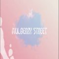 عکس لیریک ویدیو Mulberry Street از Twenty One Pilots با زیرنویس فارسی