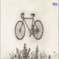 عکس پارت5سومین هدیه ی فستا 2021 با آهنگ جدید منتشر شده از آرام با نام Bicycle