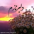 عکس آهنگ احساسی و عاشقانه / دلبر نازم بیا که من جلو همه بهت بنازم