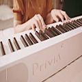 عکس معرفی پیانو دیجیتال Casio PX-S1000
