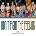 عکس لیریکس آهنگ Dont Fight The Feeling از گروه EXO