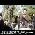 عکس مداحی با اکو بهشت زهرا