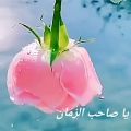 عکس یا صاحب الزمان (ع) ادرکنی