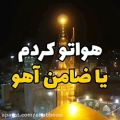 عکس کلیپ حرم امام رضا//کلیپ امام رضا//دلم 8ساله منتظر دیدن حرمته