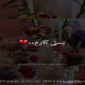 عکس کلیپ پدر.اهنگ پدر.دکلمه عاشقانه پدر مادر