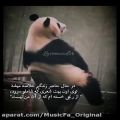 عکس غمگین. دلنوشته. شاملو. خسته. دل. استوری. موزیکفا