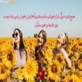 عکس روز دختر های قوی ایرانی مبارک
