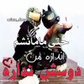 عکس حتی مامانش هم اندازه من دوسش نداره