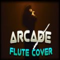 عکس Duncan Laurence - Arcade Flute Cover چه میکنه سینا