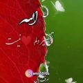 عکس دلنوشته ناب .حرف دل .خدا