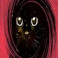 عکس سابلیمینال قدرتمند چشم های گربه ای و جذاب
