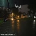 عکس اهنگ عاشقم با صدای رضا بهرامrasulkhanjari@