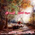 عکس اهنگ گیسه گل حمید کاظمی