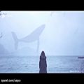 عکس آرامشی محض و یک موسیقی ماورایی (Iday Whale)