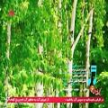 عکس موزیک ویدئو جدید- احسان خواجه امیری