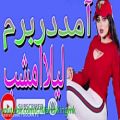 عکس اهنگ محلی افغانی آمددربرم لیلاامشب amad dar beram leila im shab