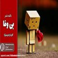عکس شعر: الهام حسینی ابهری، دکلمه و تدوین: الهام حسینی ابهری