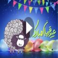 عکس کلیپ استوری درباره عید قربان / کلیپ عید سعید قربان