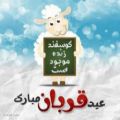 عکس عید سعید قربان مبارک - تبریک عید قربان - آهنگ جدید عید قربان