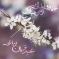 عکس دکلمه عید قربان - موزیک عید سعید قربان - عید قربان مبارک - تبریک عید قربان