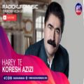 عکس کوروش عزیزی - هارەی تی | Koresh Azizi - Harey Te