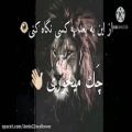 عکس سناریو/تتلو