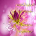عکس تبریک میلاد امام دهم برای استوری / تولد امام هادی ع