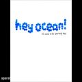 عکس Hey Ocean - Liar