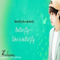 عکس BTS (Bangtan Boys) Butterfly (Color Coded Hangul/Rom/En