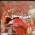 عکس عشقم پرسپولیس