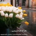 عکس موزیک ویدئو عاشقانه مادر/تقدیم ب مادرای گل