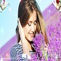 عکس آهنگ شاد و زیبای ایرانی - وای دلم