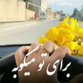 عکس کلیپ عاشقانه/ دل من برای تو میکوبه /اهنگ مهدی احمدوند