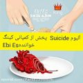 عکس آلبوم suicide از Ebi Es
