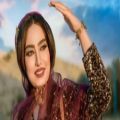 عکس کلیپ شیرازی _ آواز دشتی شیرازی