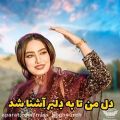 عکس کلیپ شیرازی عاشقانه و احساسی