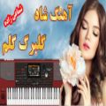 عکس آهنگ شاد گلبرگ گلم از شماعی زاده | ارگ نوازی موزیک ایرانی | Persian Music